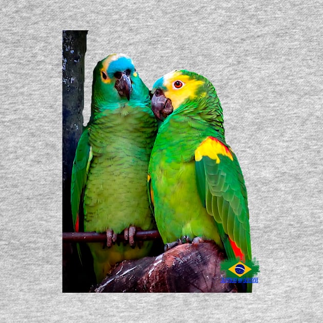 Parrot couple, Brazilian birds by Giovan R